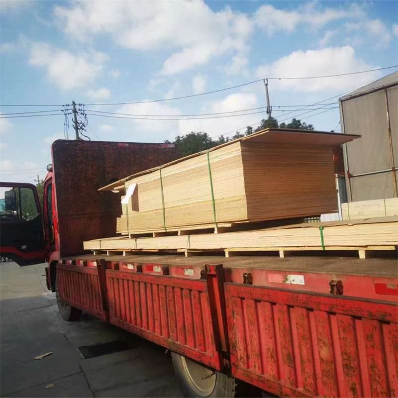 斗门区桥西区物流专线的多元运输世界