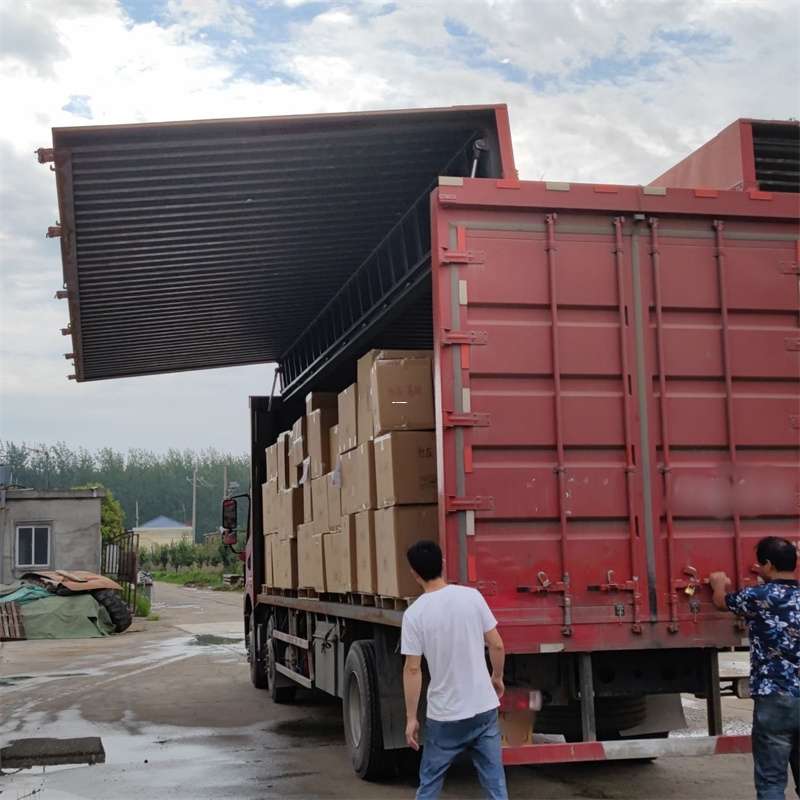 斗门区扎囊县：物流专线的高效货运之旅