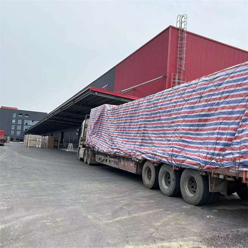 斗门区墨脱县：物流专线的多元货运服务
